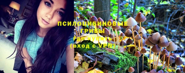 экстази Абинск