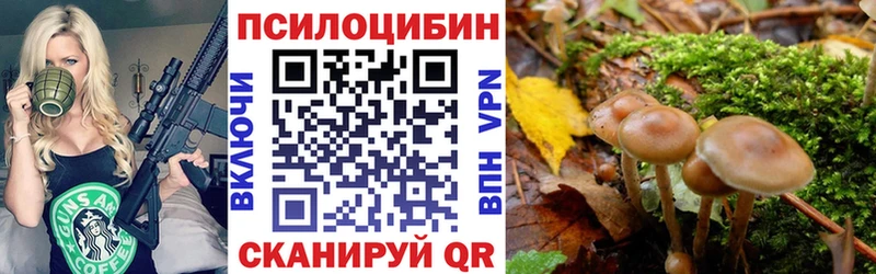 сайты даркнета Telegram  Рославль  Галлюциногенные грибы мухоморы 